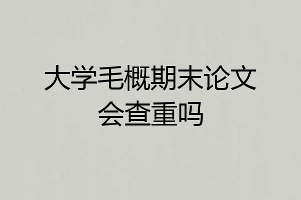 大学毛概期末论文会查重吗
