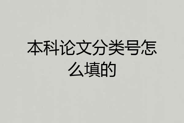 本科论文分类号怎么填的