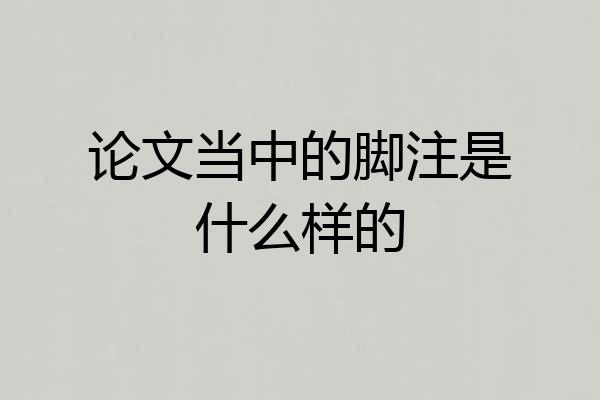 论文当中的脚注是什么样的