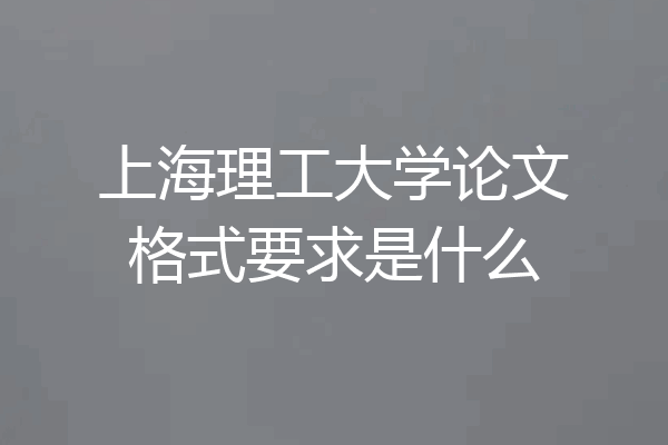 上海理工大学论文格式要求是什么
