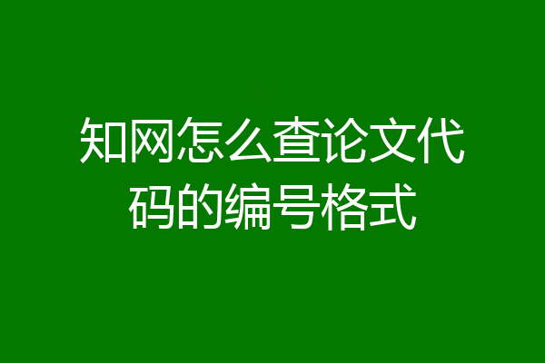 知网怎么查论文代码的编号格式