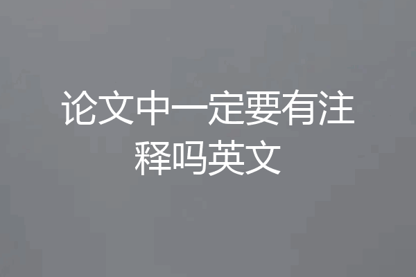 论文中一定要有注释吗英文