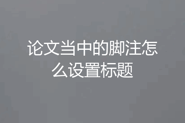 论文当中的脚注怎么设置标题