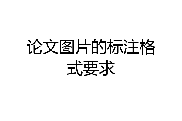 论文图片的标注格式要求