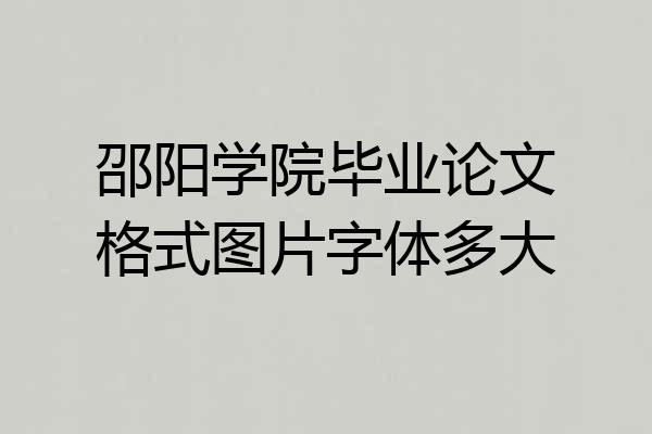 邵阳学院毕业论文格式图片字体多大