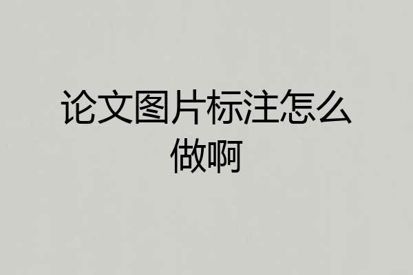 论文图片标注怎么做啊