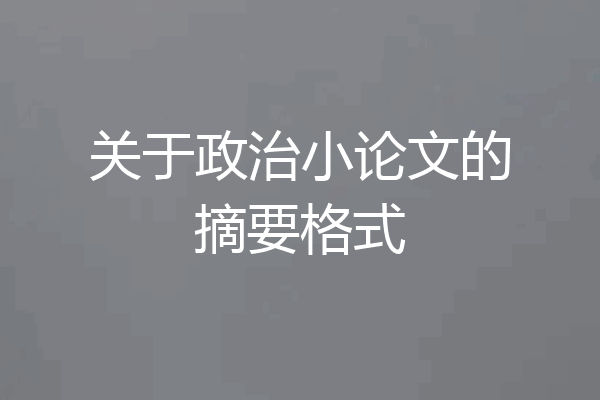 关于政治小论文的摘要格式