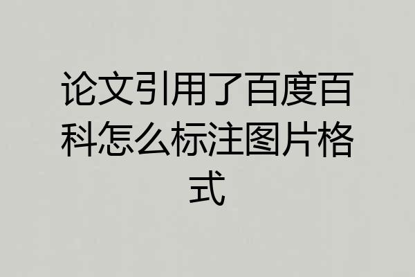 论文引用了百度百科怎么标注图片格式