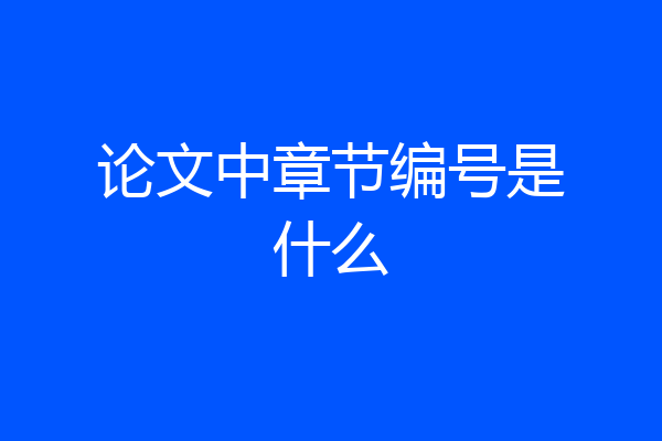 论文中章节编号是什么