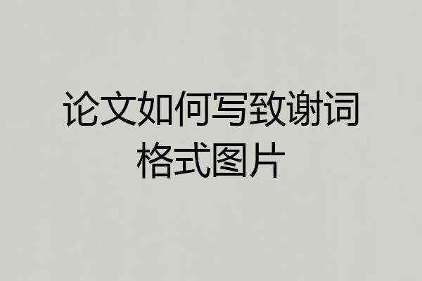 论文如何写致谢词格式图片
