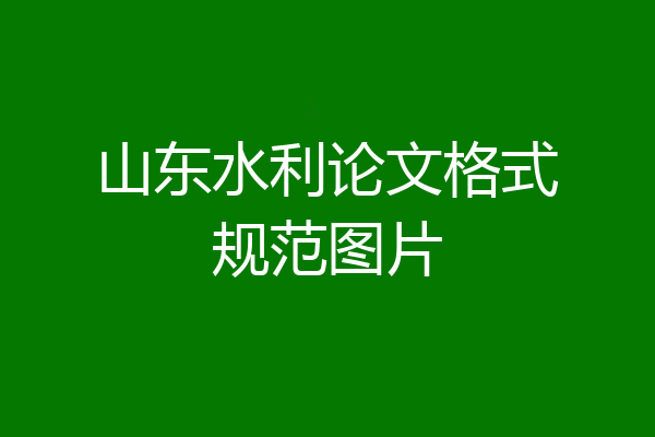 山东水利论文格式规范图片