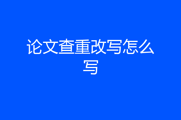 论文查重改写怎么写