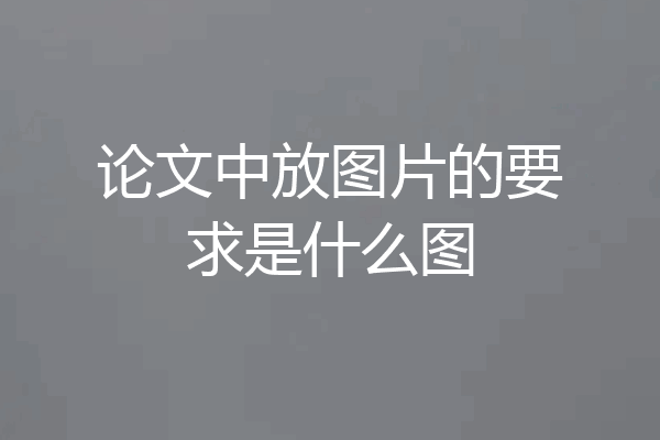 论文中放图片的要求是什么图