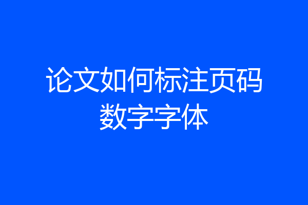 论文如何标注页码数字字体