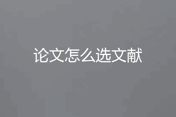 论文怎么选文献