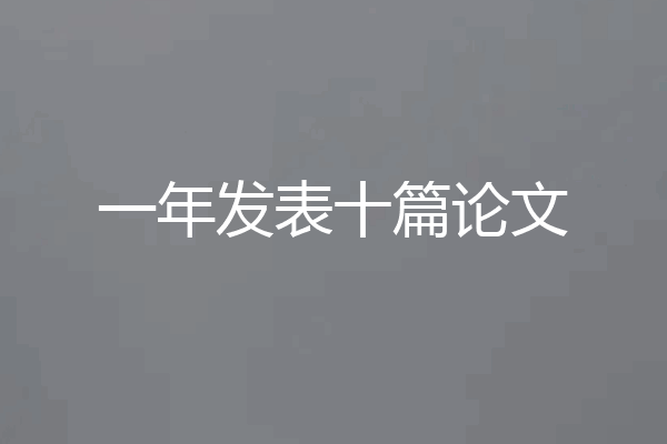 一年发表十篇论文