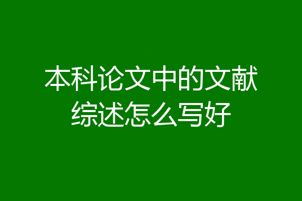 本科论文中的文献综述怎么写好