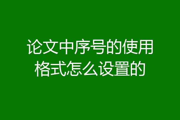 论文中序号的使用格式怎么设置的