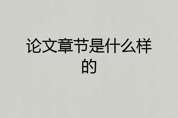 论文章节是什么样的