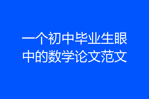一个初中毕业生眼中的数学论文范文