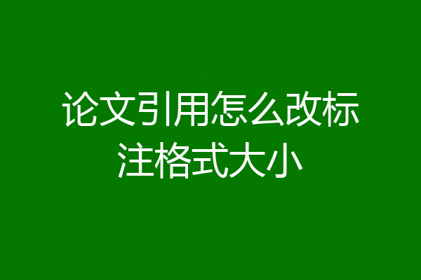 论文引用怎么改标注格式大小