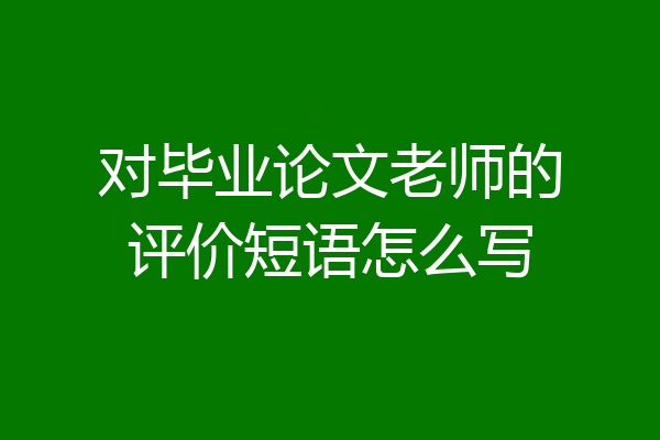 对毕业论文老师的评价短语怎么写