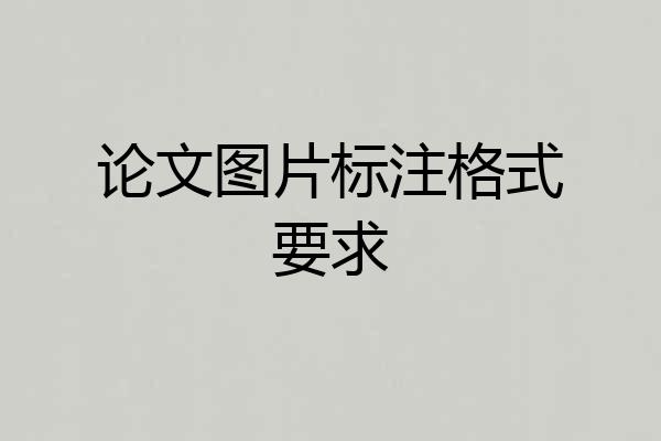 论文图片标注格式要求