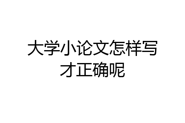 大学小论文怎样写才正确呢