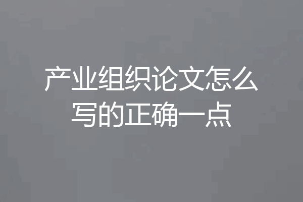 产业组织论文怎么写的正确一点