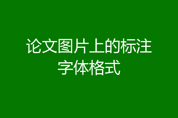 论文图片上的标注字体格式