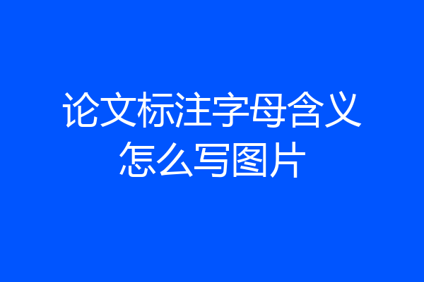 论文标注字母含义怎么写图片