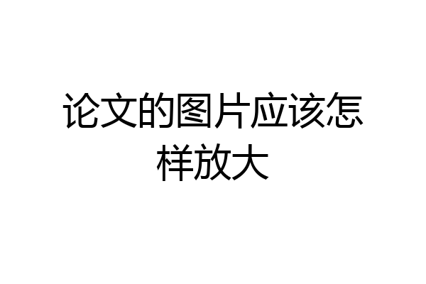 论文的图片应该怎样放大
