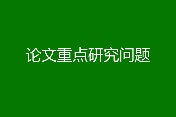 论文重点研究问题