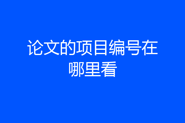 论文的项目编号在哪里看