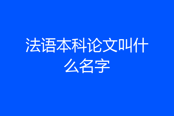 法语本科论文叫什么名字