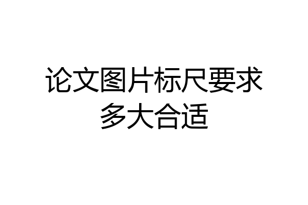 论文图片标尺要求多大合适