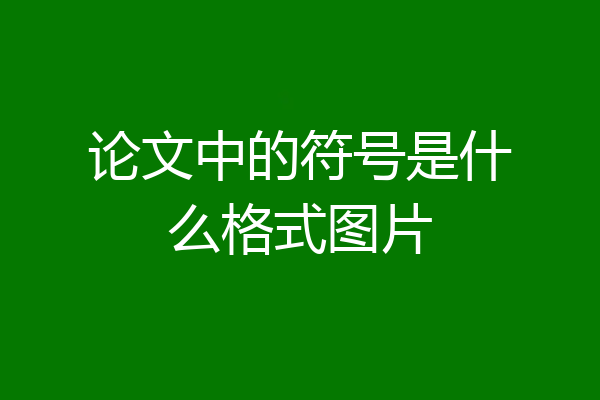 论文中的符号是什么格式图片