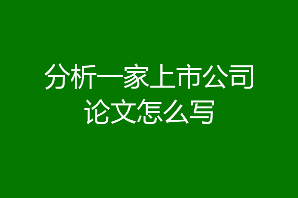 分析一家上市公司论文怎么写