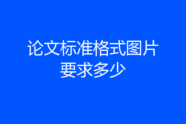 论文标准格式图片要求多少