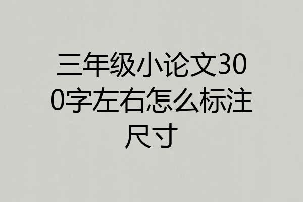 三年级小论文300字左右怎么标注尺寸