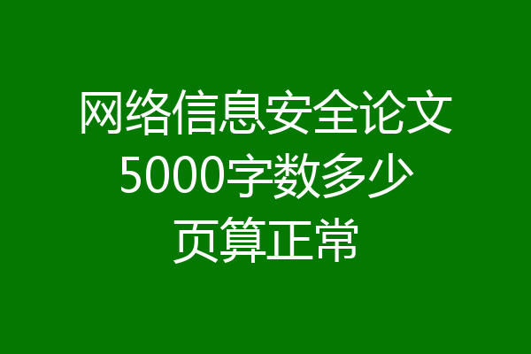 网络信息安全论文5000字数多少页算正常