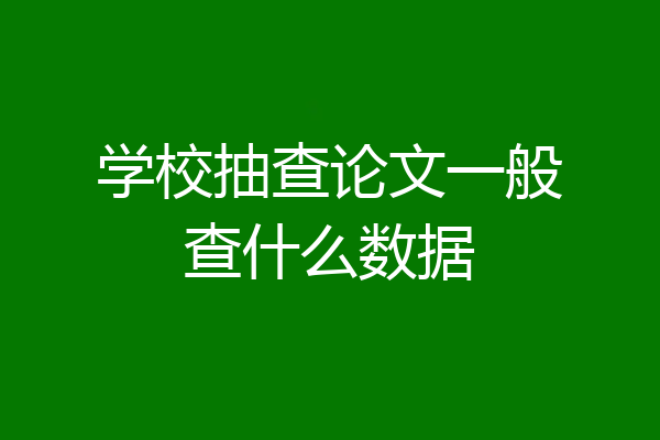 学校抽查论文一般查什么数据