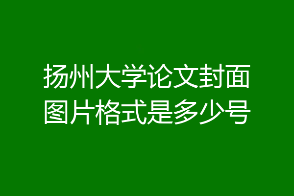 扬州大学论文封面图片格式是多少号