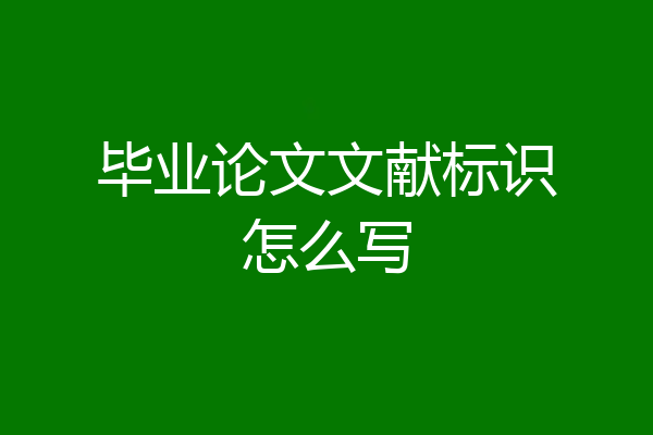 毕业论文文献标识怎么写
