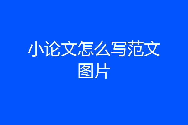 小论文怎么写范文图片