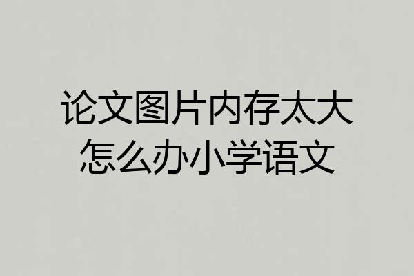 论文图片内存太大怎么办小学语文