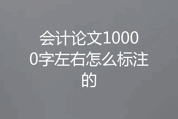 会计论文10000字左右怎么标注的