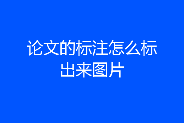 论文的标注怎么标出来图片