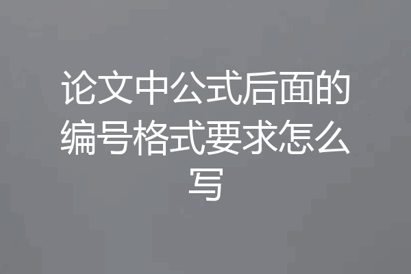 论文中公式后面的编号格式要求怎么写
