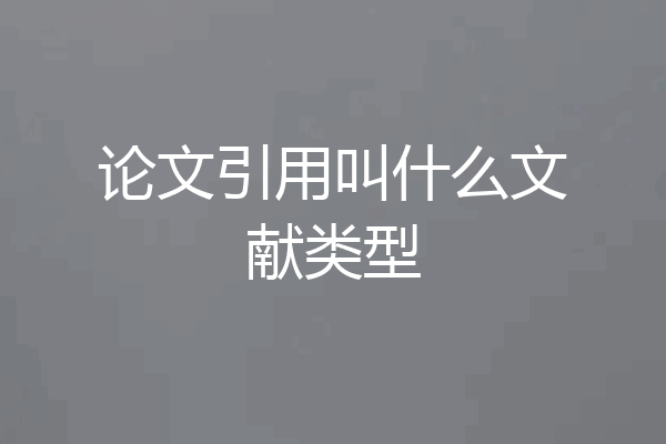 论文引用叫什么文献类型